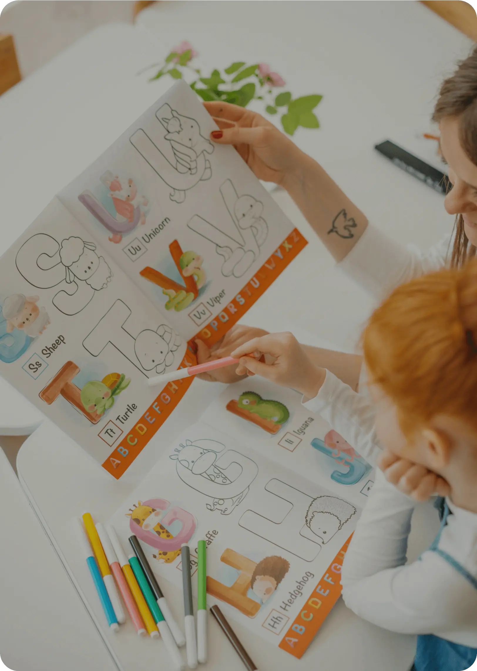 Educators, Schools and Libraries